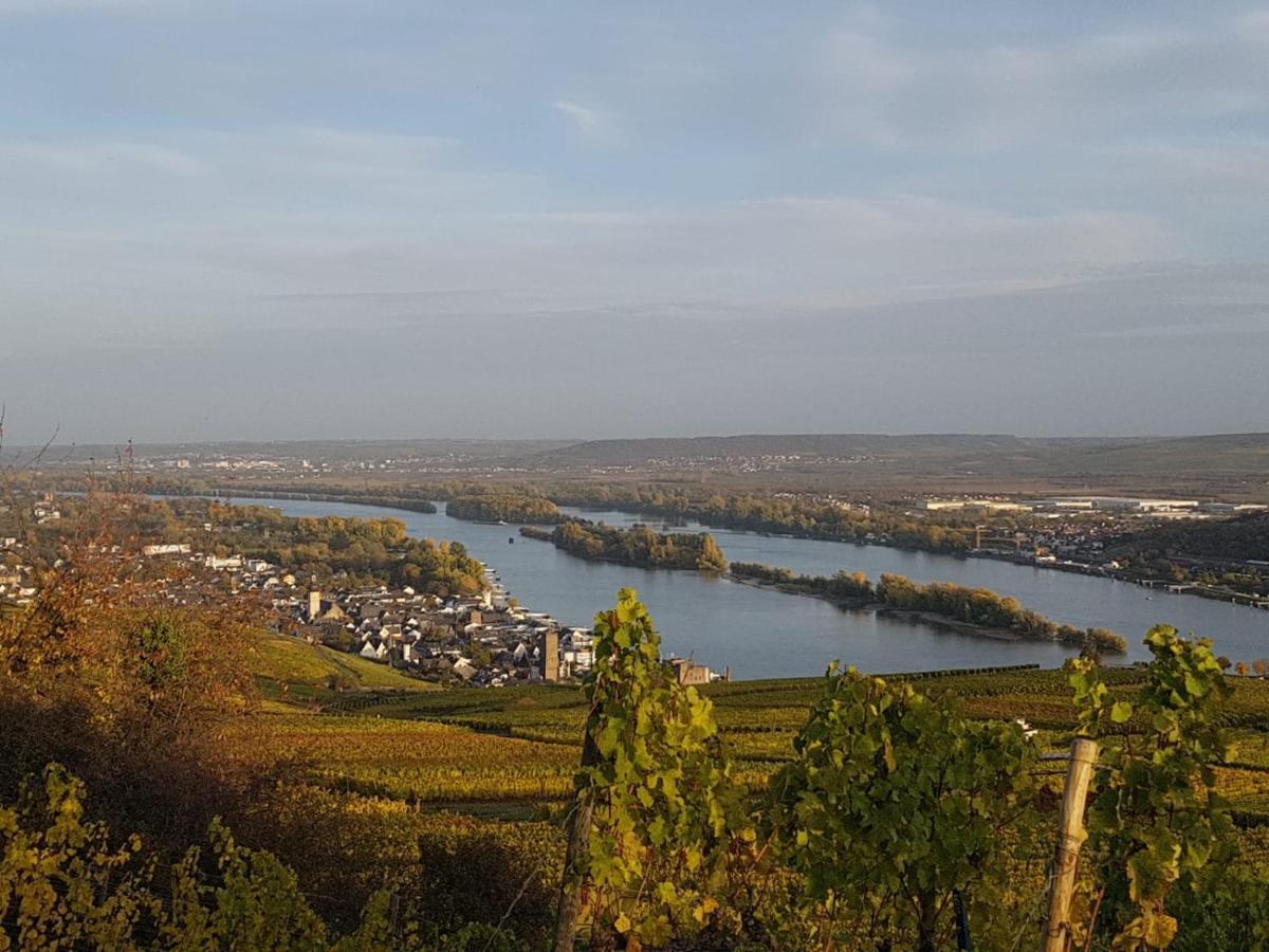 Rheingau Und Weltkulturerbe Mittelrheintal Erleben - Ferienappartement In Winkel โอสตริช-วินเคิล ภายนอก รูปภาพ