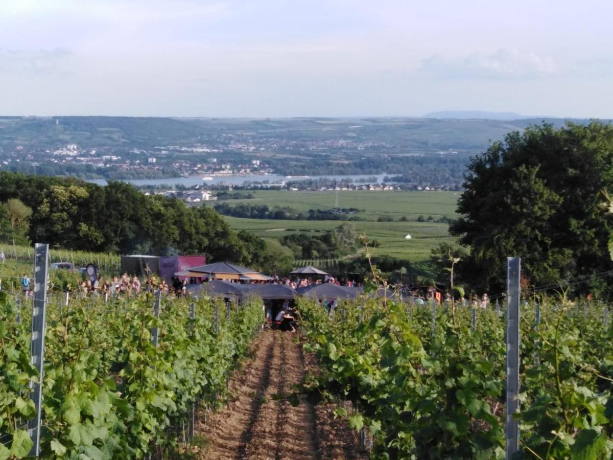 Rheingau Und Weltkulturerbe Mittelrheintal Erleben - Ferienappartement In Winkel โอสตริช-วินเคิล ภายนอก รูปภาพ