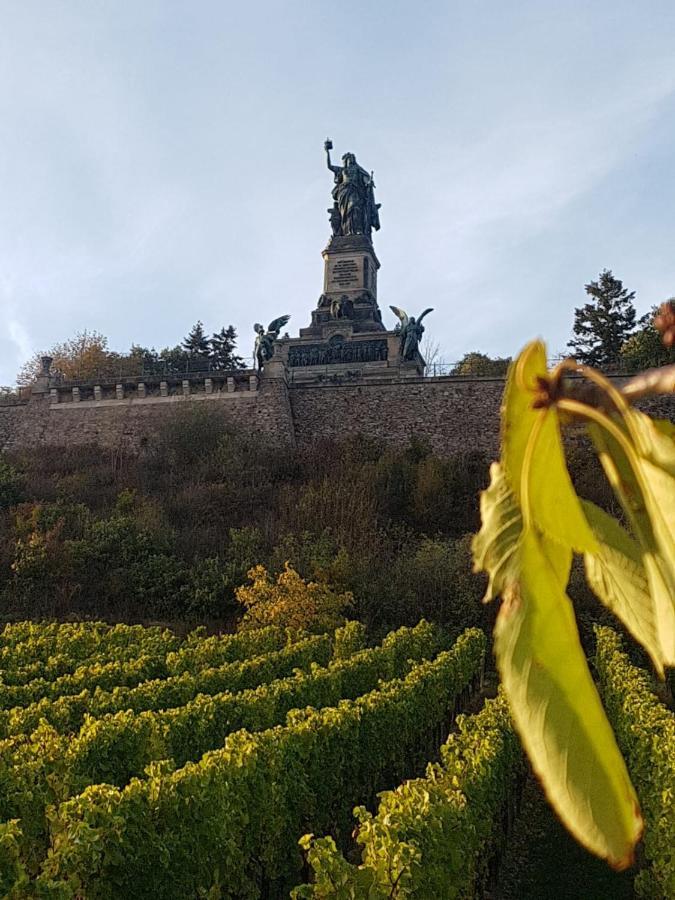 Rheingau Und Weltkulturerbe Mittelrheintal Erleben - Ferienappartement In Winkel โอสตริช-วินเคิล ภายนอก รูปภาพ